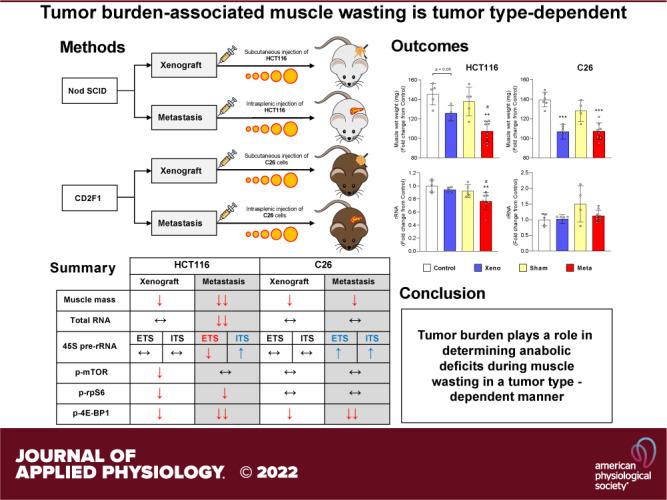 https://cdn.ncbi.nlm.nih.gov/pmc/blobs/786a/9678410/1ea2d4dce66f/jappl-00247-2022r01.jpg