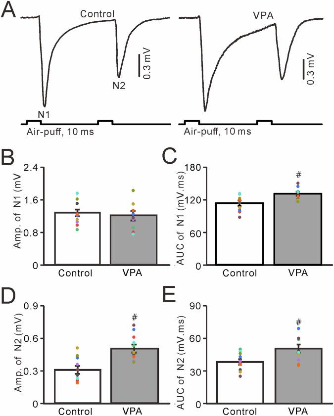 https://cdn.ncbi.nlm.nih.gov/pmc/blobs/786b/11222518/576757b43dc0/41398_2024_2990_Fig3_HTML.jpg