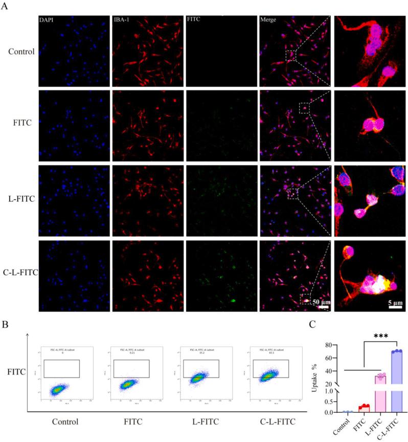 https://cdn.ncbi.nlm.nih.gov/pmc/blobs/786b/12270056/35da8a7e9edc/gr5.jpg