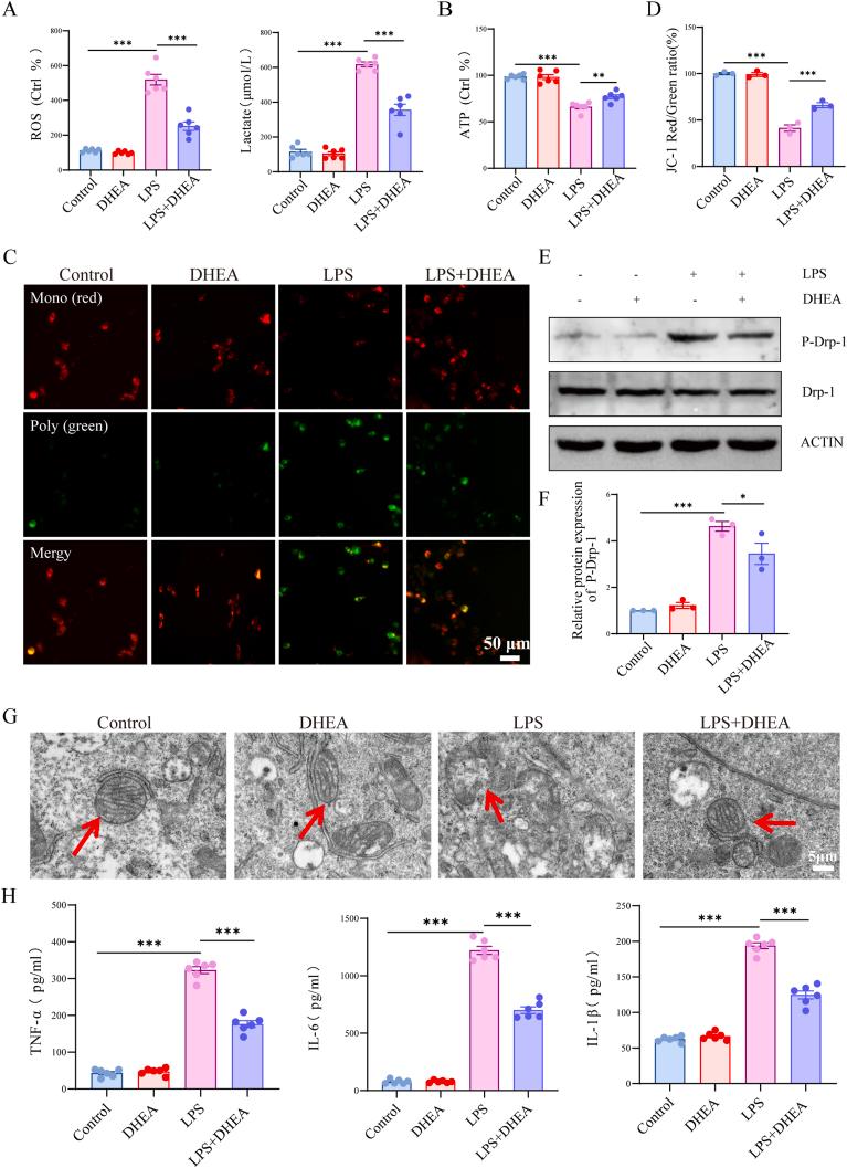 https://cdn.ncbi.nlm.nih.gov/pmc/blobs/786b/12270056/44af7ca2e0a6/gr3.jpg