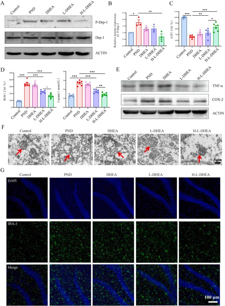 https://cdn.ncbi.nlm.nih.gov/pmc/blobs/786b/12270056/b5f6b7c068f4/gr8.jpg