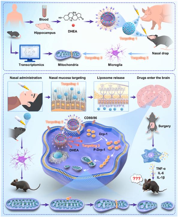 https://cdn.ncbi.nlm.nih.gov/pmc/blobs/786b/12270056/c0bc7bb3642d/ga1.jpg
