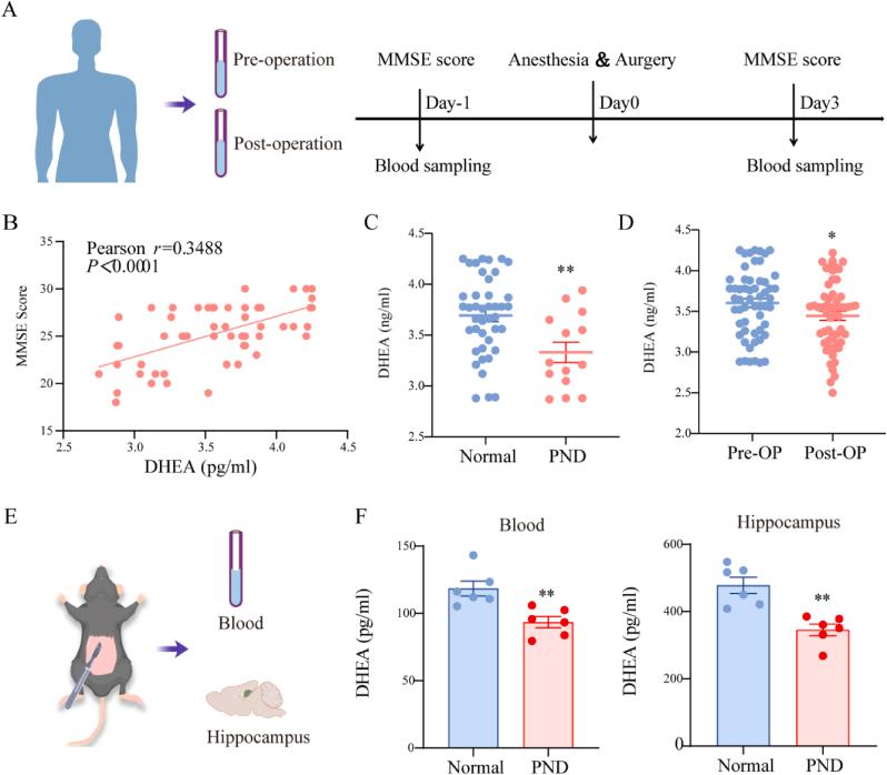 https://cdn.ncbi.nlm.nih.gov/pmc/blobs/786b/12270056/c1ed8bd65db0/gr1.jpg
