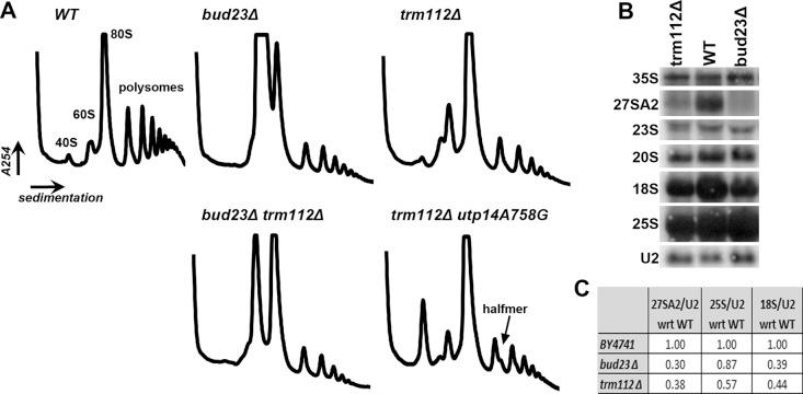 https://cdn.ncbi.nlm.nih.gov/pmc/blobs/786b/3484107/4d1cda11774a/4313fig3.jpg
