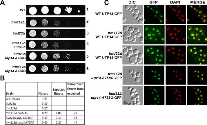 https://cdn.ncbi.nlm.nih.gov/pmc/blobs/786b/3484107/6fc79167b806/4313fig2.jpg