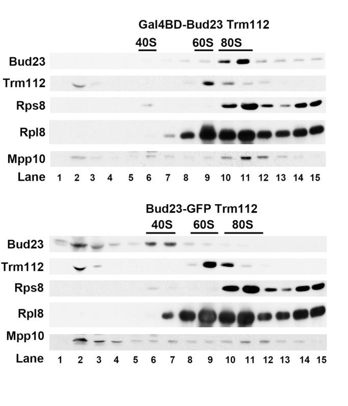 https://cdn.ncbi.nlm.nih.gov/pmc/blobs/786b/3484107/9df800476ea4/4313fig4.jpg