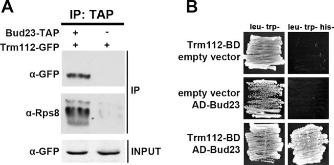 https://cdn.ncbi.nlm.nih.gov/pmc/blobs/786b/3484107/a9fcf63125dc/4313fig1.jpg