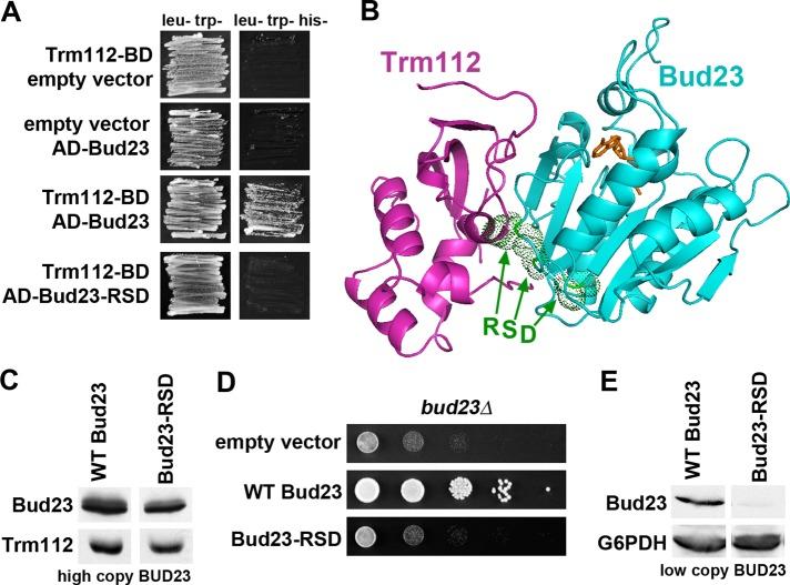 https://cdn.ncbi.nlm.nih.gov/pmc/blobs/786b/3484107/bdb004e1b631/4313fig8.jpg