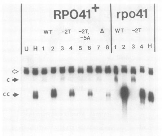 https://cdn.ncbi.nlm.nih.gov/pmc/blobs/786c/362363/91ccaded504c/molcellb00056-0056-a.jpg