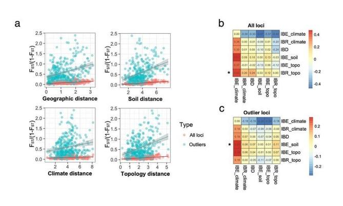 https://cdn.ncbi.nlm.nih.gov/pmc/blobs/786d/11015620/bf4c43e36f2a/12870_2024_4942_Fig3_HTML.jpg