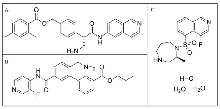 https://cdn.ncbi.nlm.nih.gov/pmc/blobs/786d/12030167/90255c1fd3b7/pharmaceuticals-18-00523-g003.jpg