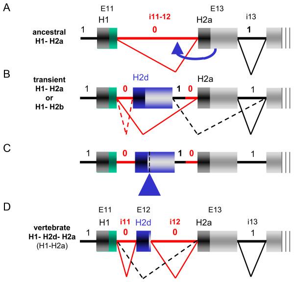 https://cdn.ncbi.nlm.nih.gov/pmc/blobs/786d/2394523/6ed49ff44ab6/1471-2148-8-131-4.jpg