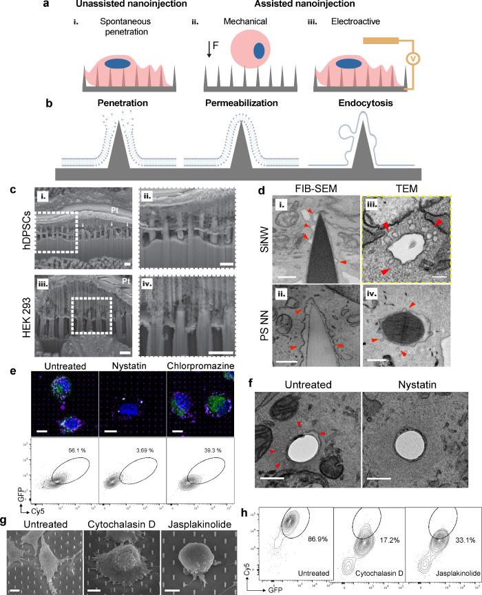 https://cdn.ncbi.nlm.nih.gov/pmc/blobs/786f/11191407/154fe2fb7230/ar4c00190_0005.jpg