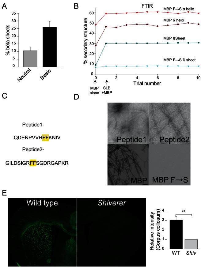 https://cdn.ncbi.nlm.nih.gov/pmc/blobs/7879/3676292/a206e3d0619f/pbio.1001577.g006.jpg