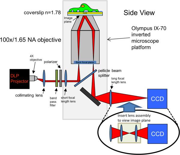 https://cdn.ncbi.nlm.nih.gov/pmc/blobs/7879/4289309/a65bdf5d7bfd/12860_2014_726_Fig1_HTML.jpg