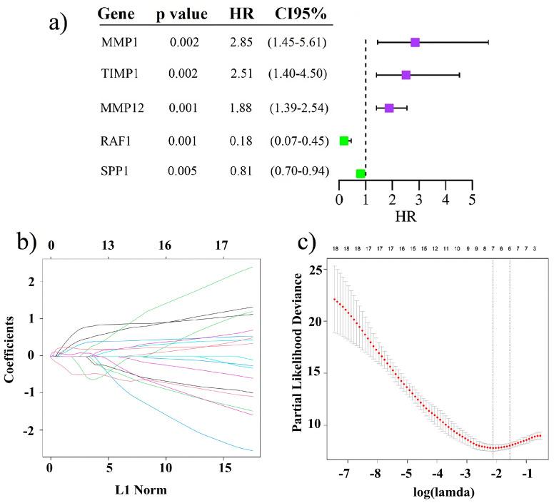 https://cdn.ncbi.nlm.nih.gov/pmc/blobs/787b/12072621/0fdad19b2de8/ijms-26-04317-g001.jpg