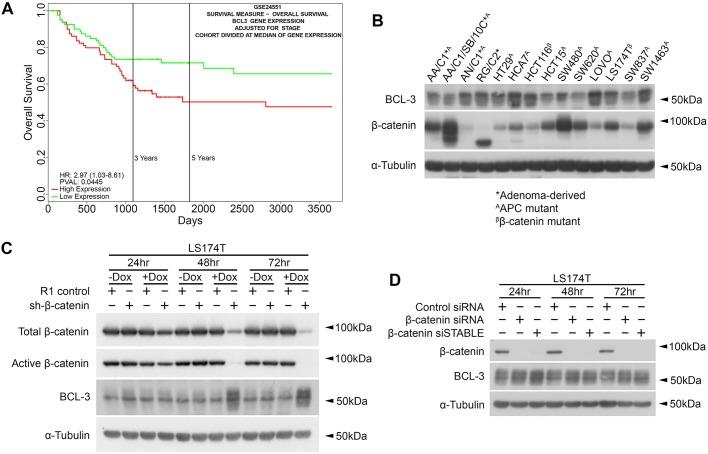 https://cdn.ncbi.nlm.nih.gov/pmc/blobs/787b/6451435/c065a55c5011/dmm-12-037697-g1.jpg