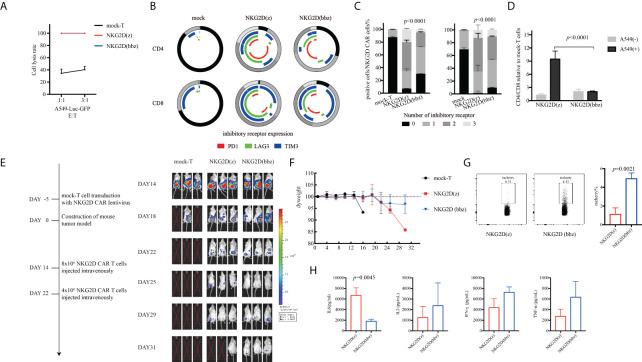 https://cdn.ncbi.nlm.nih.gov/pmc/blobs/787b/9372572/56fa8cae3c7d/fonc-12-893124-g005.jpg