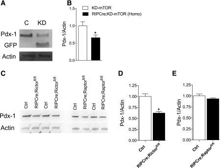 https://cdn.ncbi.nlm.nih.gov/pmc/blobs/787c/5521866/67b09dfdeea1/db161349f5.jpg