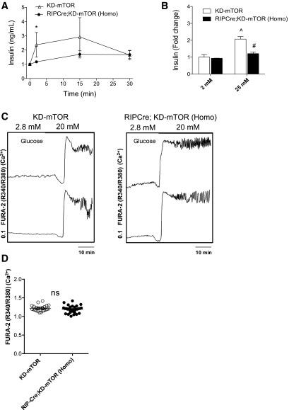 https://cdn.ncbi.nlm.nih.gov/pmc/blobs/787c/5521866/7a9aeed87016/db161349f4.jpg