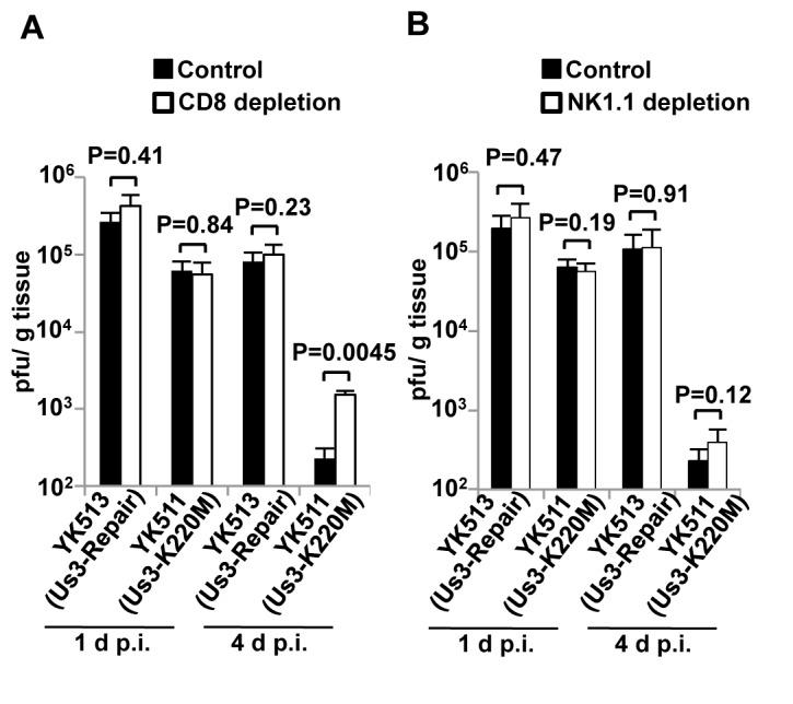 https://cdn.ncbi.nlm.nih.gov/pmc/blobs/787d/3741198/289396619e5b/pone.0072050.g007.jpg