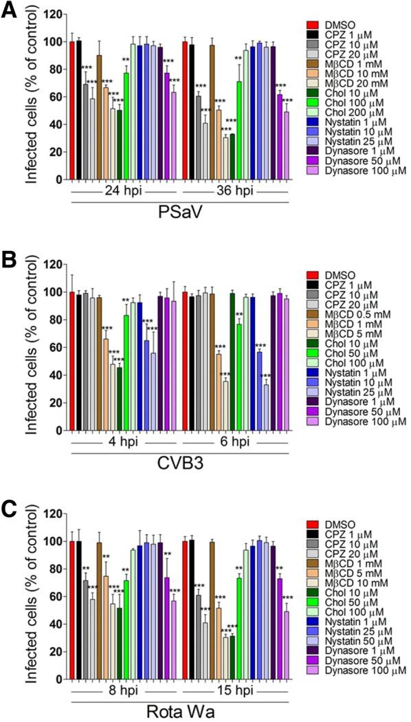 https://cdn.ncbi.nlm.nih.gov/pmc/blobs/787d/6142377/39c477e2134e/13567_2018_584_Fig1_HTML.jpg
