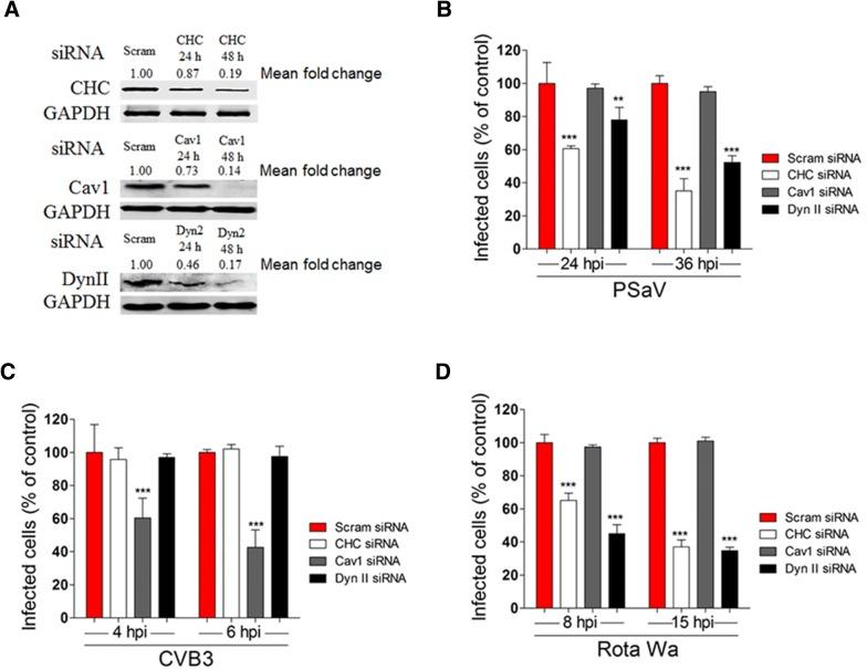 https://cdn.ncbi.nlm.nih.gov/pmc/blobs/787d/6142377/72ace173508e/13567_2018_584_Fig2_HTML.jpg