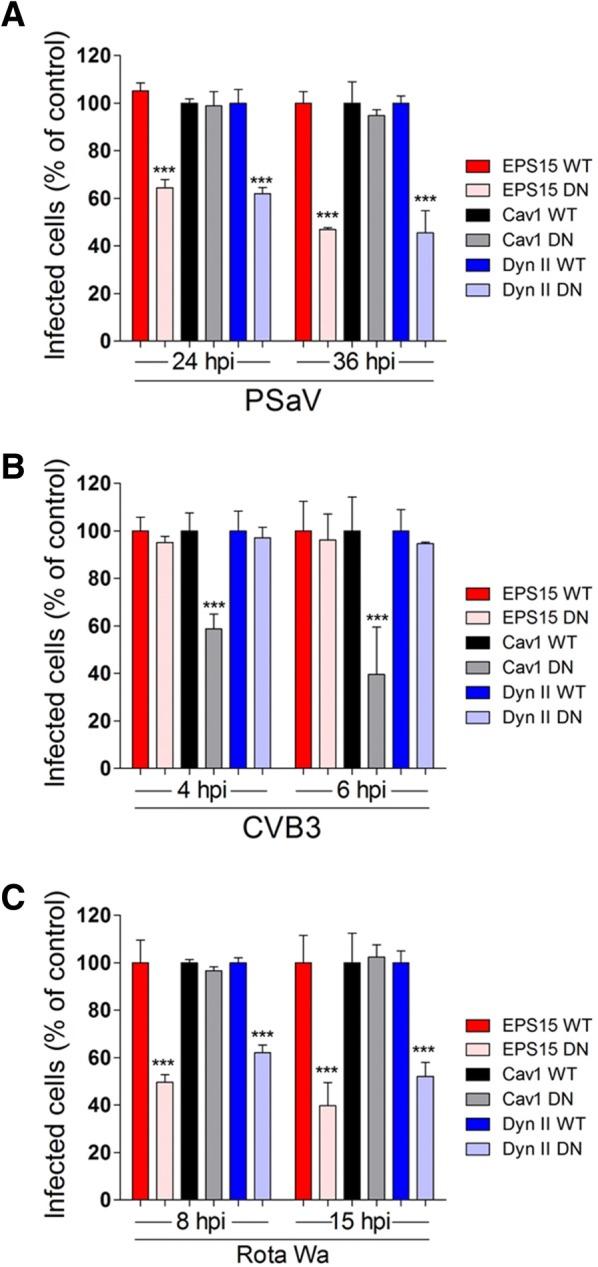 https://cdn.ncbi.nlm.nih.gov/pmc/blobs/787d/6142377/bf891f9336b2/13567_2018_584_Fig3_HTML.jpg