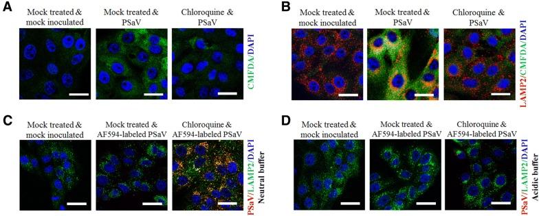 https://cdn.ncbi.nlm.nih.gov/pmc/blobs/787d/6142377/d1ca8415fb4a/13567_2018_584_Fig7_HTML.jpg