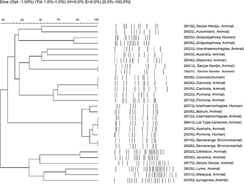 https://cdn.ncbi.nlm.nih.gov/pmc/blobs/787e/11245352/df65a0e71862/IJM-16-323-g002.jpg