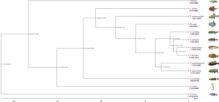 https://cdn.ncbi.nlm.nih.gov/pmc/blobs/787e/9834249/9666c46d2618/41597_2023_1937_Fig3_HTML.jpg