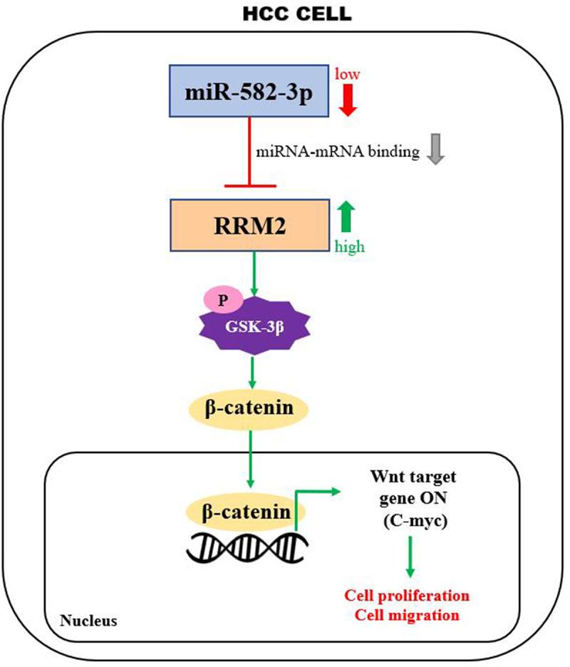 https://cdn.ncbi.nlm.nih.gov/pmc/blobs/7881/9275912/d878c5118438/KBIE_A_2078026_UF0001_OC.jpg