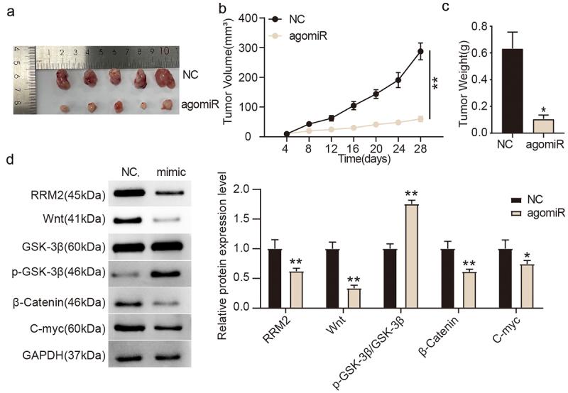 https://cdn.ncbi.nlm.nih.gov/pmc/blobs/7881/9275912/dd2d48bbc19b/KBIE_A_2078026_F0002_OC.jpg