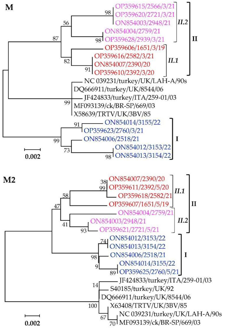 https://cdn.ncbi.nlm.nih.gov/pmc/blobs/7881/9612082/38f8aee6c819/vetsci-09-00579-g007.jpg