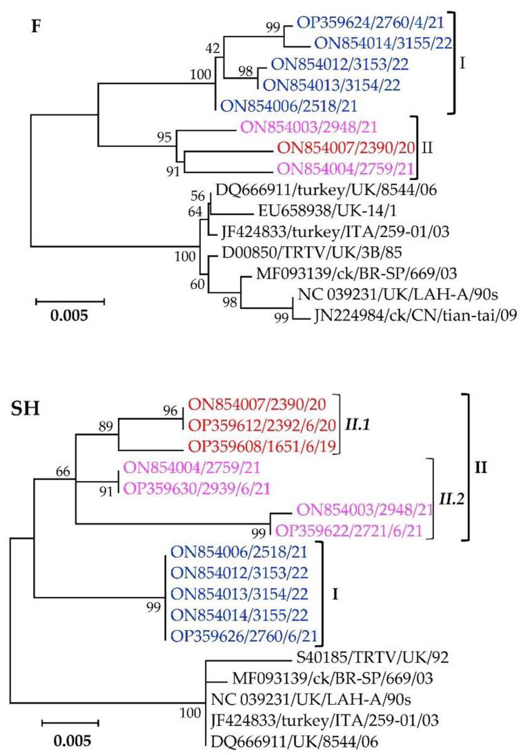 https://cdn.ncbi.nlm.nih.gov/pmc/blobs/7881/9612082/dee664f5545e/vetsci-09-00579-g005.jpg