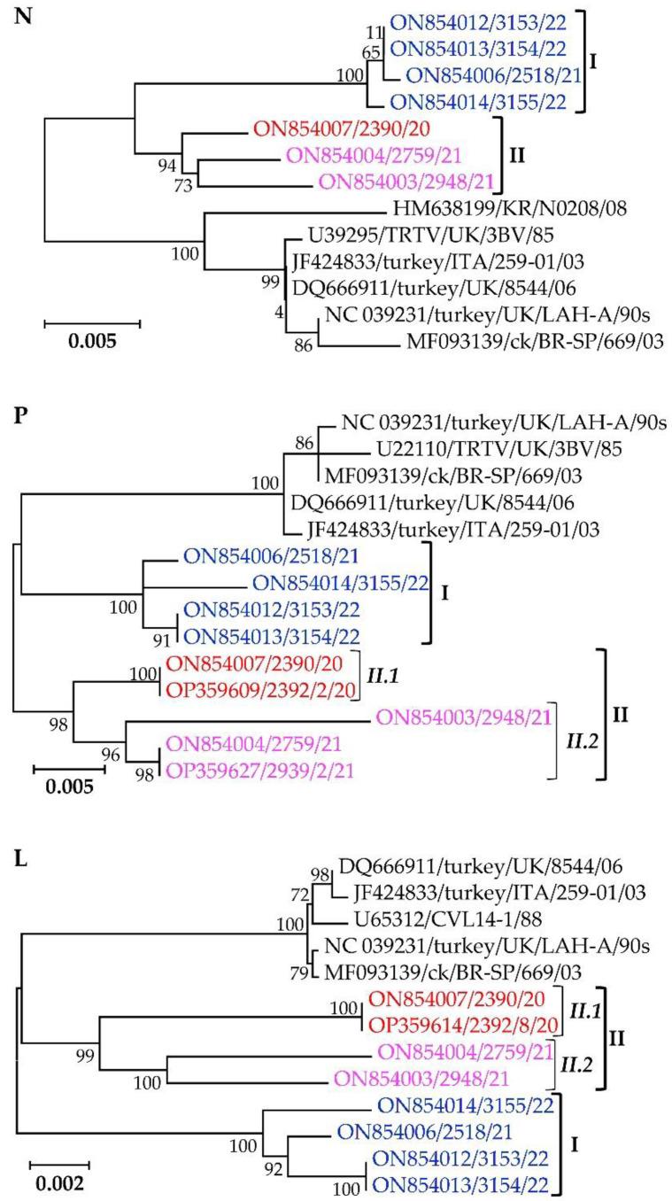 https://cdn.ncbi.nlm.nih.gov/pmc/blobs/7881/9612082/ef877fd3446b/vetsci-09-00579-g006.jpg