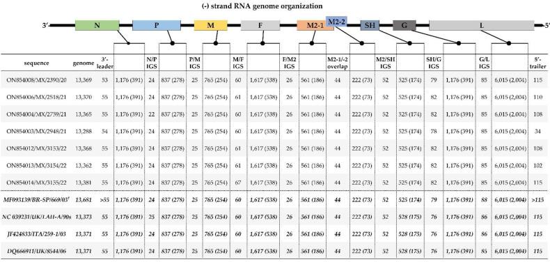 https://cdn.ncbi.nlm.nih.gov/pmc/blobs/7881/9612082/f7a5ccb779eb/vetsci-09-00579-g001.jpg