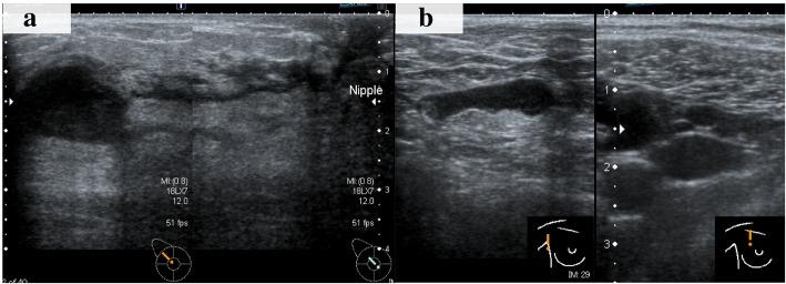 https://cdn.ncbi.nlm.nih.gov/pmc/blobs/7884/6510746/48268c8cf8a1/40792_2019_635_Fig1_HTML.jpg