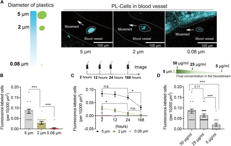 https://cdn.ncbi.nlm.nih.gov/pmc/blobs/7886/11753373/f5d8ac8085d6/sciadv.adr8243-f6.jpg