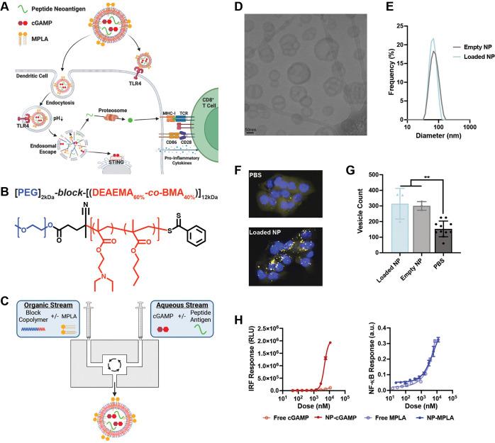 https://cdn.ncbi.nlm.nih.gov/pmc/blobs/7887/10919087/15a9a5262676/nn3c04471_0001.jpg