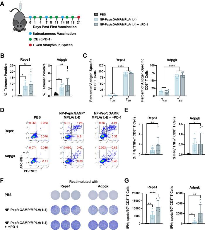 https://cdn.ncbi.nlm.nih.gov/pmc/blobs/7887/10919087/1b0e989bb905/nn3c04471_0007.jpg