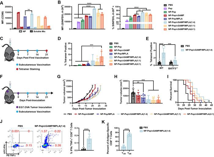 https://cdn.ncbi.nlm.nih.gov/pmc/blobs/7887/10919087/5684a8472574/nn3c04471_0005.jpg