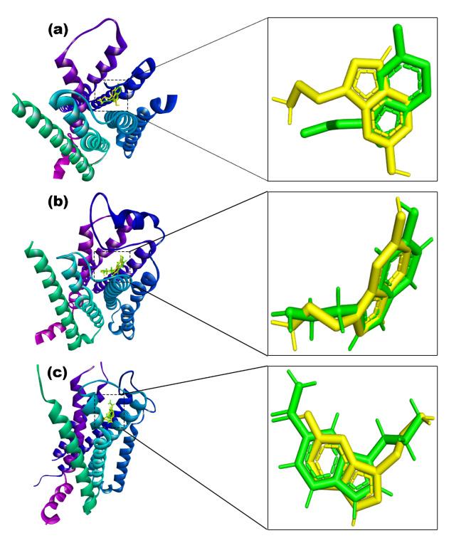 https://cdn.ncbi.nlm.nih.gov/pmc/blobs/7887/11621125/40f9acf3c1aa/41598_2024_76329_Fig7_HTML.jpg
