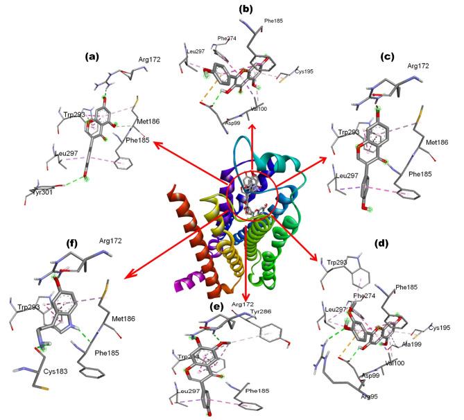 https://cdn.ncbi.nlm.nih.gov/pmc/blobs/7887/11621125/7288822b008e/41598_2024_76329_Fig3_HTML.jpg