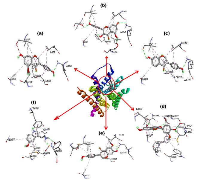 https://cdn.ncbi.nlm.nih.gov/pmc/blobs/7887/11621125/7c31569c0c5c/41598_2024_76329_Fig1_HTML.jpg