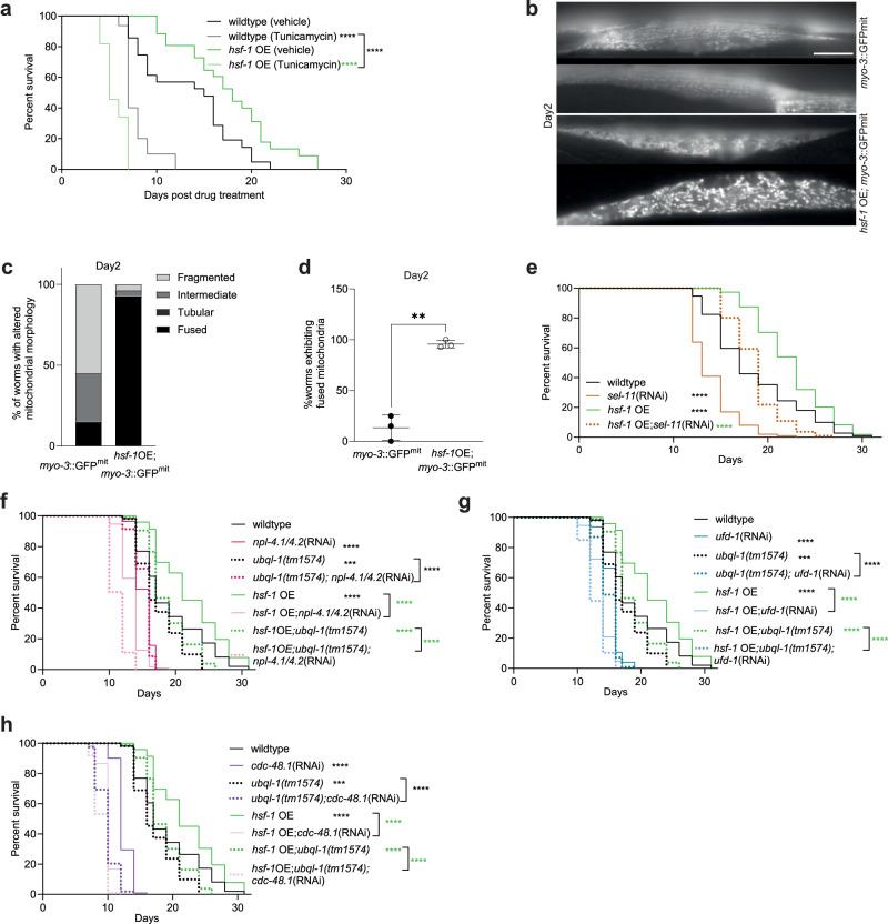 https://cdn.ncbi.nlm.nih.gov/pmc/blobs/7889/11557981/27ee721003e6/41467_2024_54136_Fig4_HTML.jpg