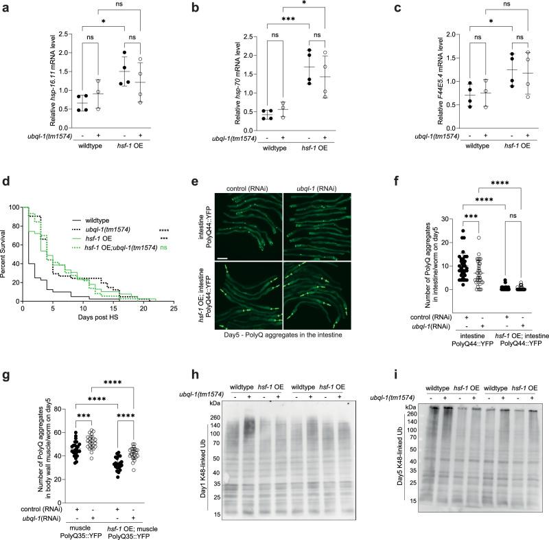 https://cdn.ncbi.nlm.nih.gov/pmc/blobs/7889/11557981/ac2b2ce091b3/41467_2024_54136_Fig2_HTML.jpg