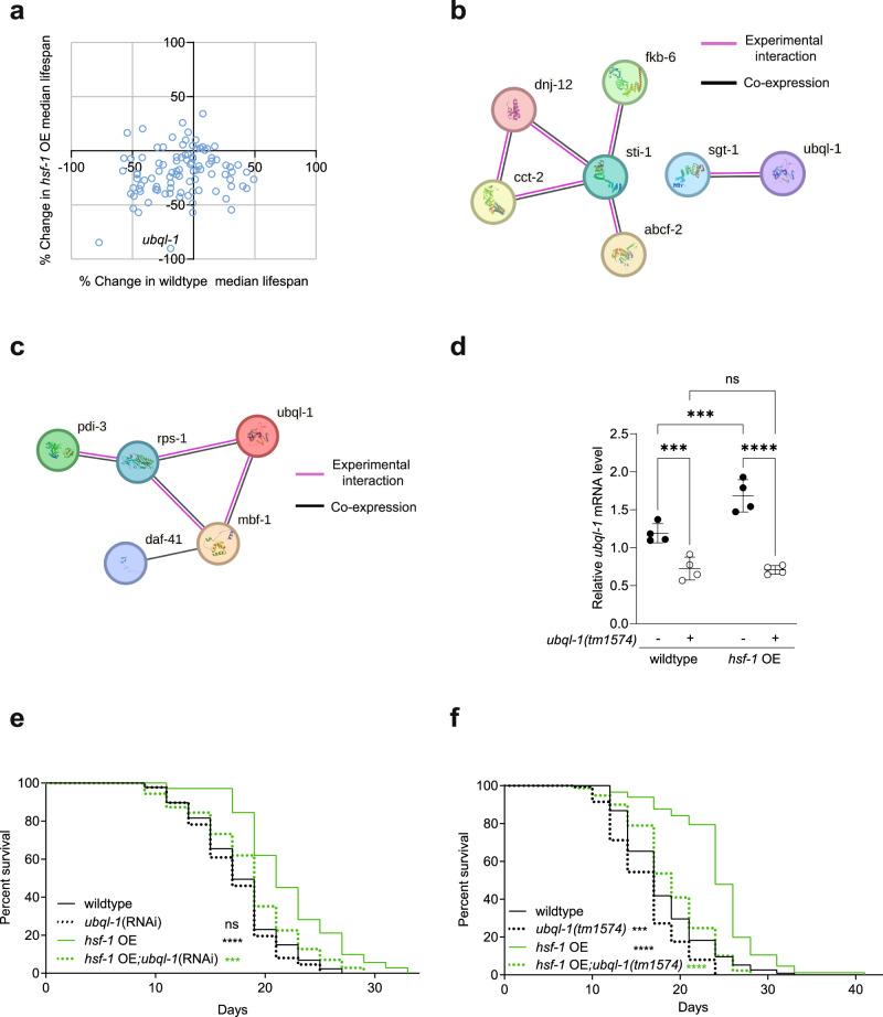 https://cdn.ncbi.nlm.nih.gov/pmc/blobs/7889/11557981/ae1421bc4bef/41467_2024_54136_Fig1_HTML.jpg