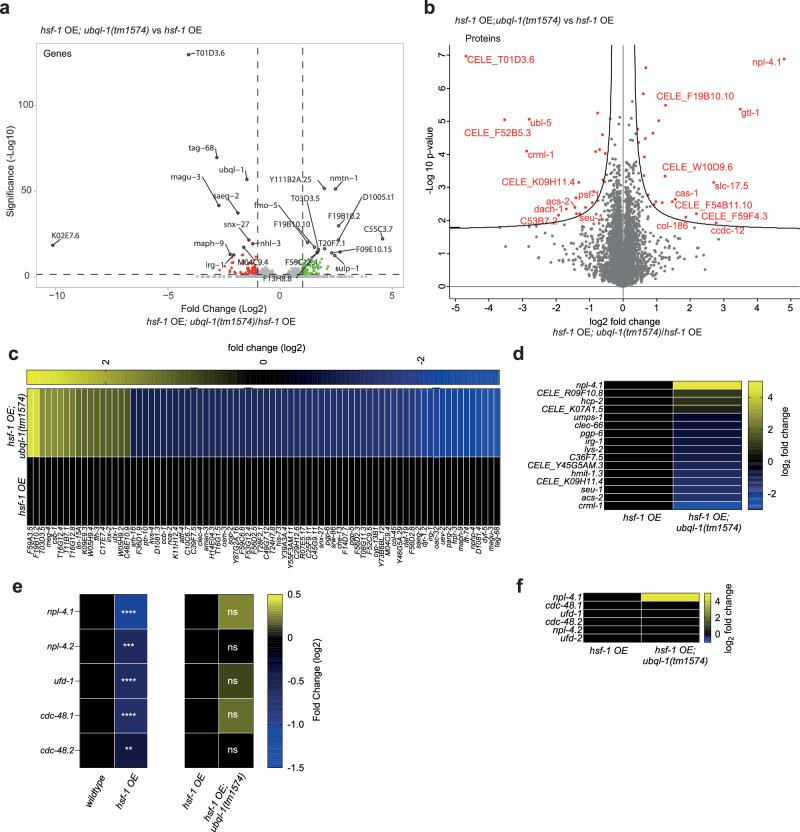 https://cdn.ncbi.nlm.nih.gov/pmc/blobs/7889/11557981/d35a82cb9657/41467_2024_54136_Fig3_HTML.jpg