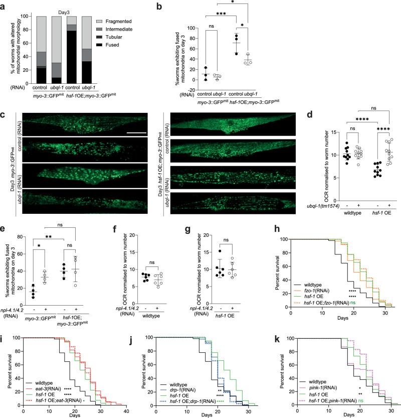 https://cdn.ncbi.nlm.nih.gov/pmc/blobs/7889/11557981/ea1c0654eba8/41467_2024_54136_Fig5_HTML.jpg